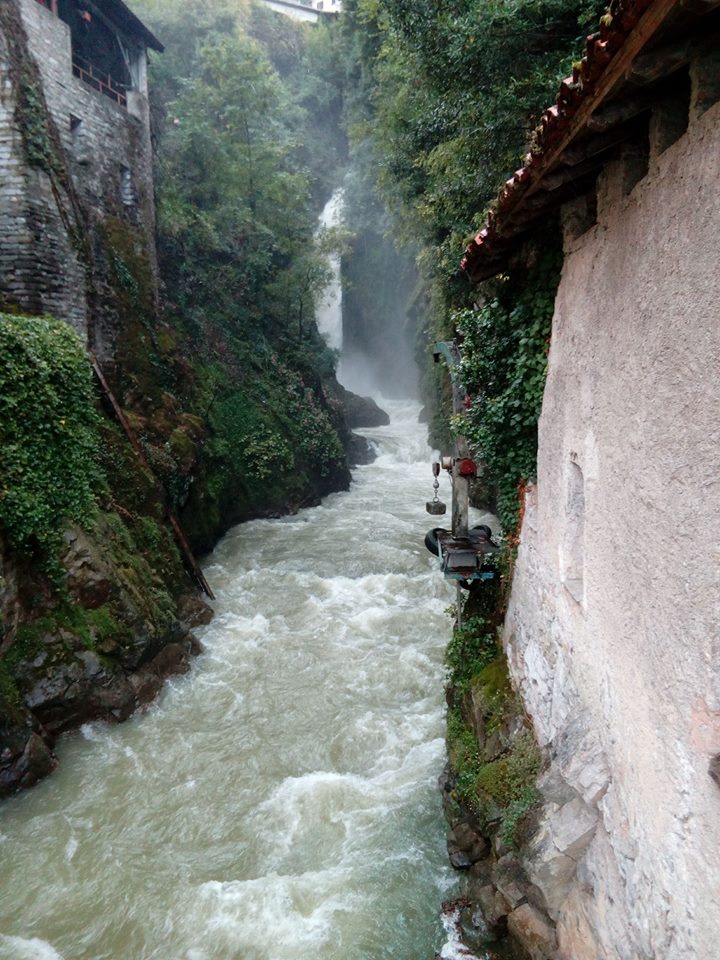 21462264_10210329813067263_787300365836107335_n