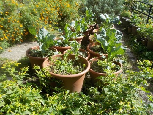 DSCN6679 (FILEminimizer)