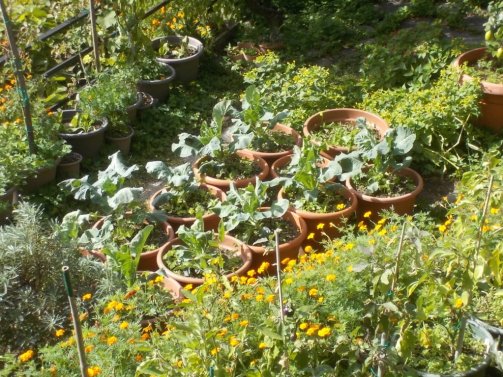 DSCN6687 (FILEminimizer)