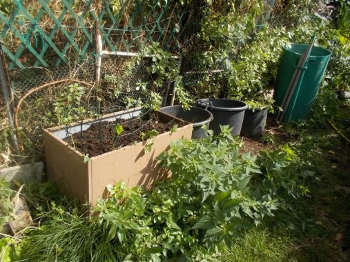 DSCN6688 (FILEminimizer)