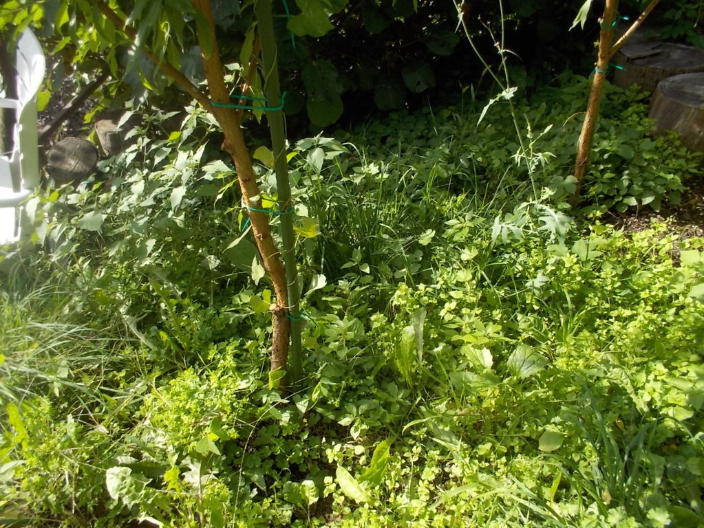 DSCN6694 (FILEminimizer)