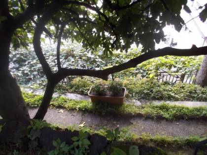 DSCN6707 (FILEminimizer)