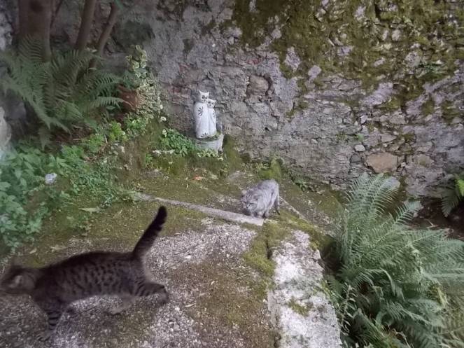 DSCN6773 (FILEminimizer)