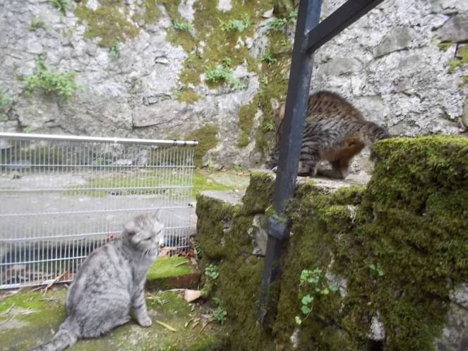 DSCN6780 (FILEminimizer)