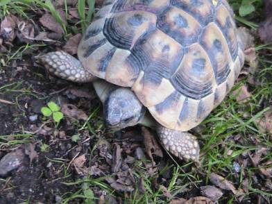 IMG_8371 (FILEminimizer)