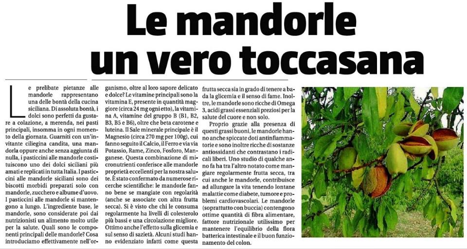 22814449_1306455626167736_5289760047127073157_n