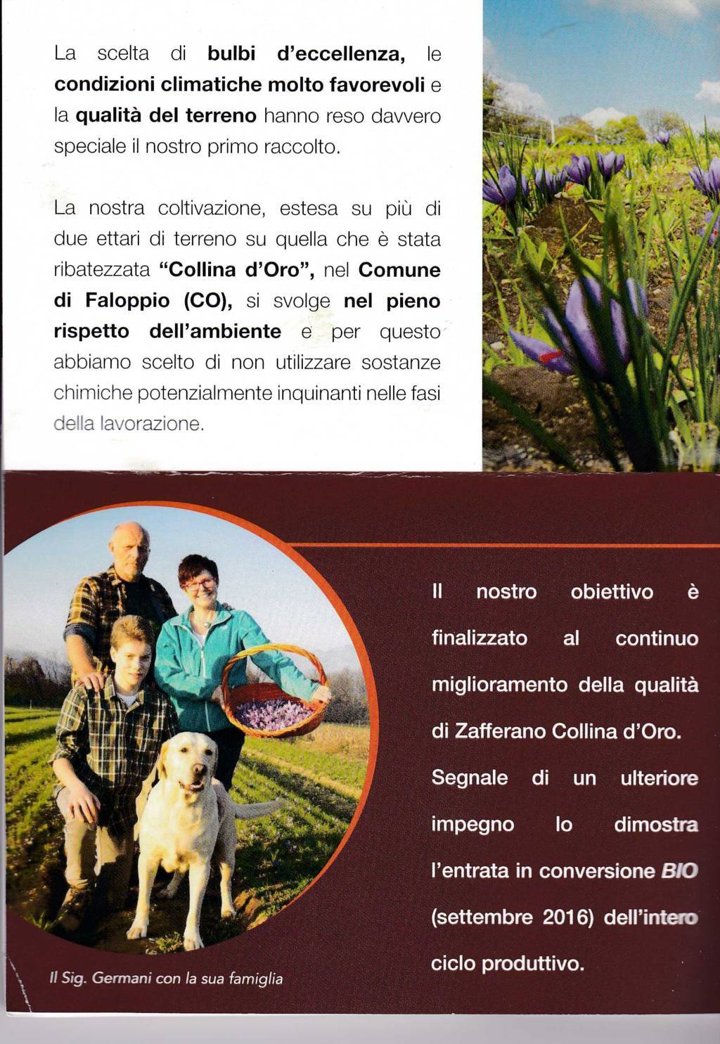 como1265 (FILEminimizer)