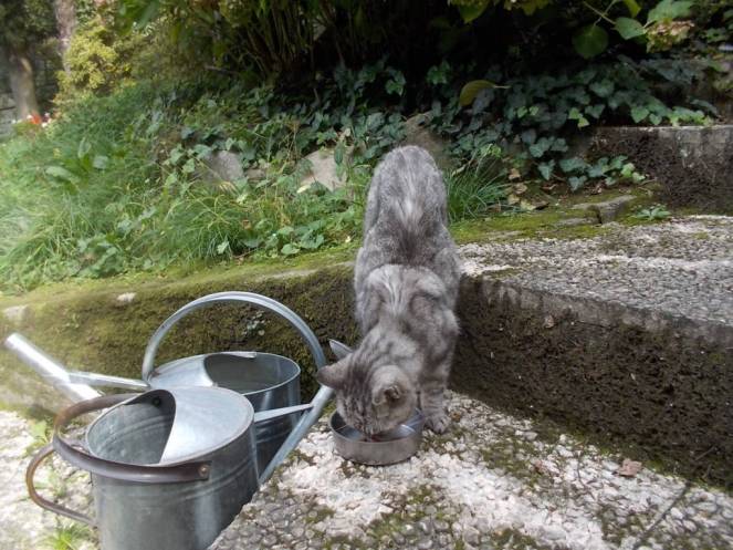 DSCN6790 (FILEminimizer)