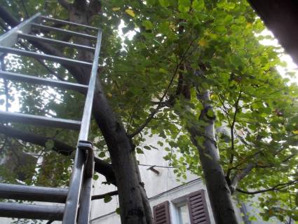 DSCN6804 (FILEminimizer)