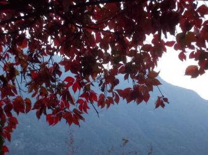 DSCN6847 (FILEminimizer)