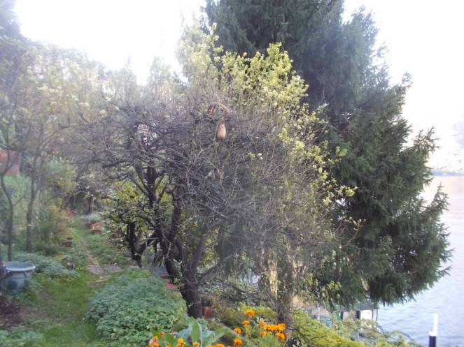 DSCN6862 (FILEminimizer)