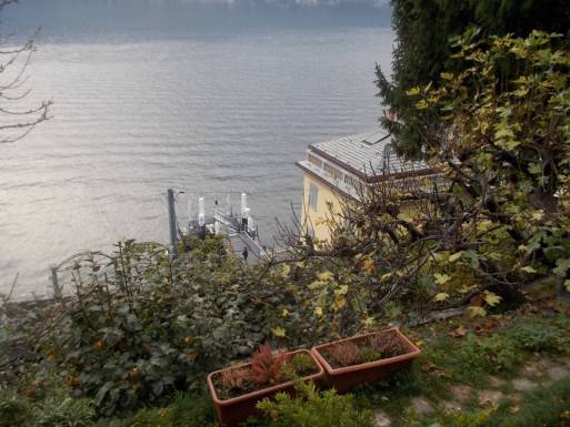 DSCN6905 (FILEminimizer)