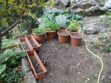 DSCN6957 (FILEminimizer)