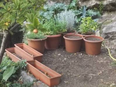 DSCN6965 (FILEminimizer)