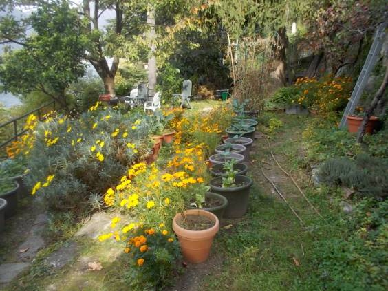 DSCN7079 (FILEminimizer)