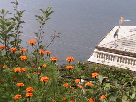 IMG_8395 (FILEminimizer)