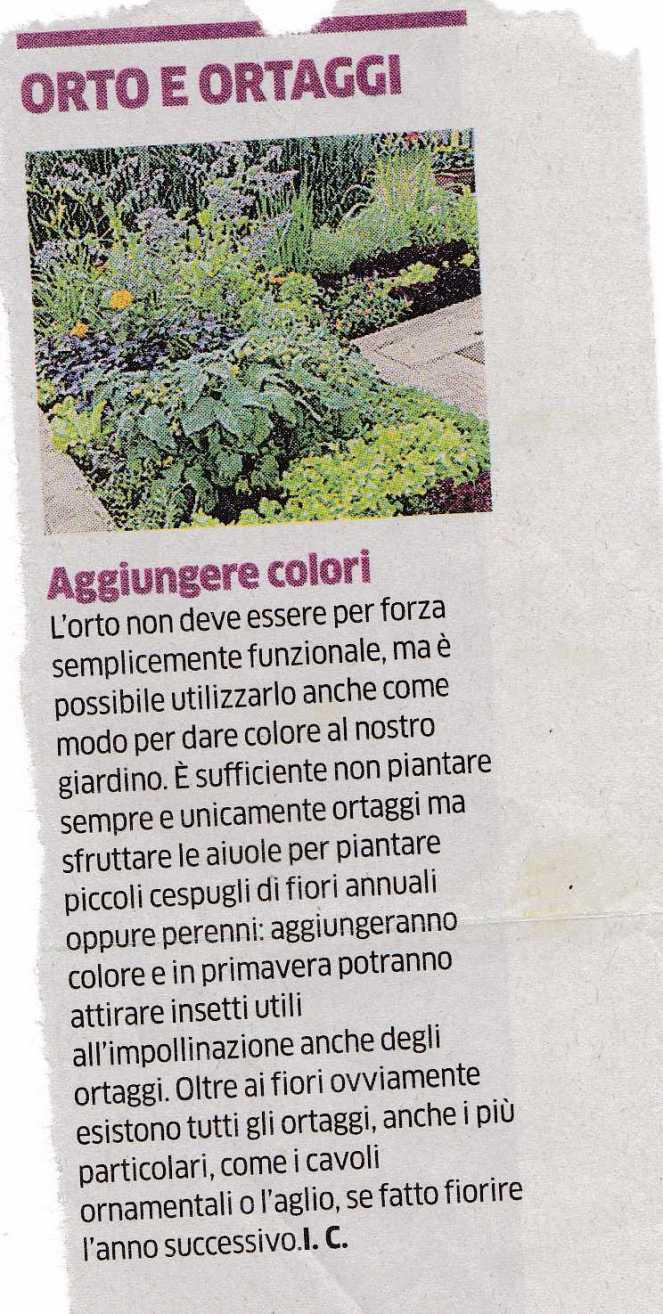 scanner oggi1195