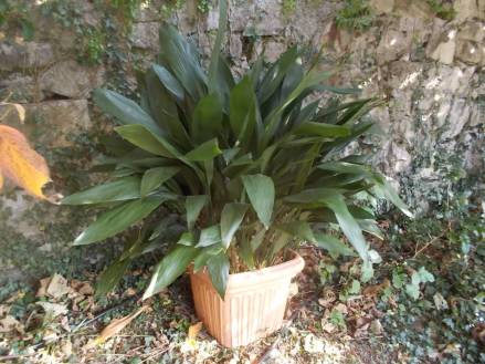 DSCN7148 (FILEminimizer)