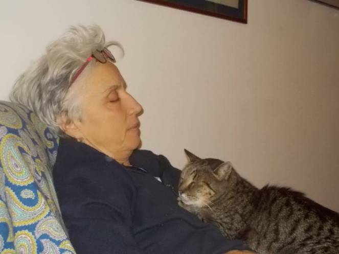 DSCN7206 (FILEminimizer)