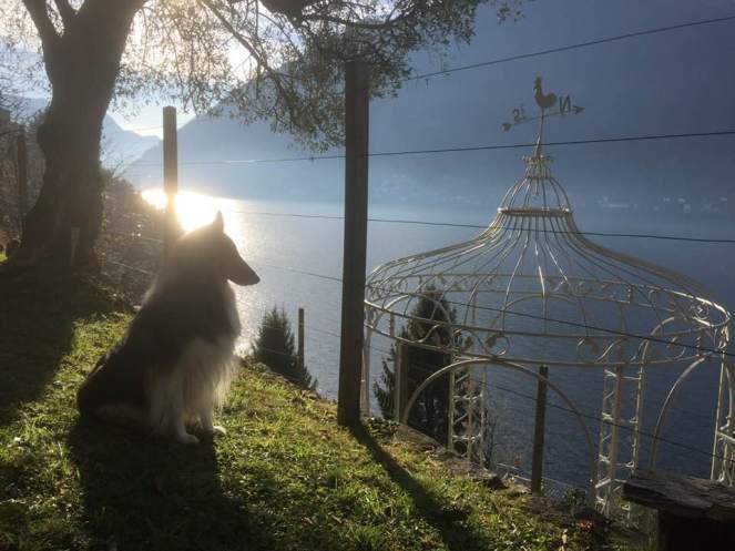 25591742_1798040393549047_5010954267985006250_n