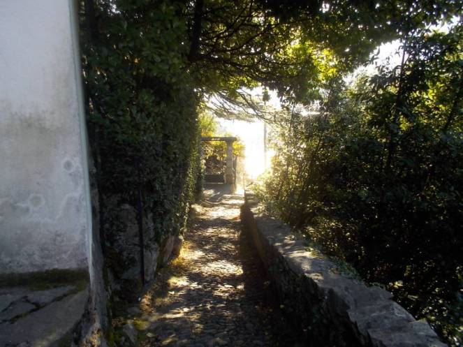 DSCN7349 (FILEminimizer)