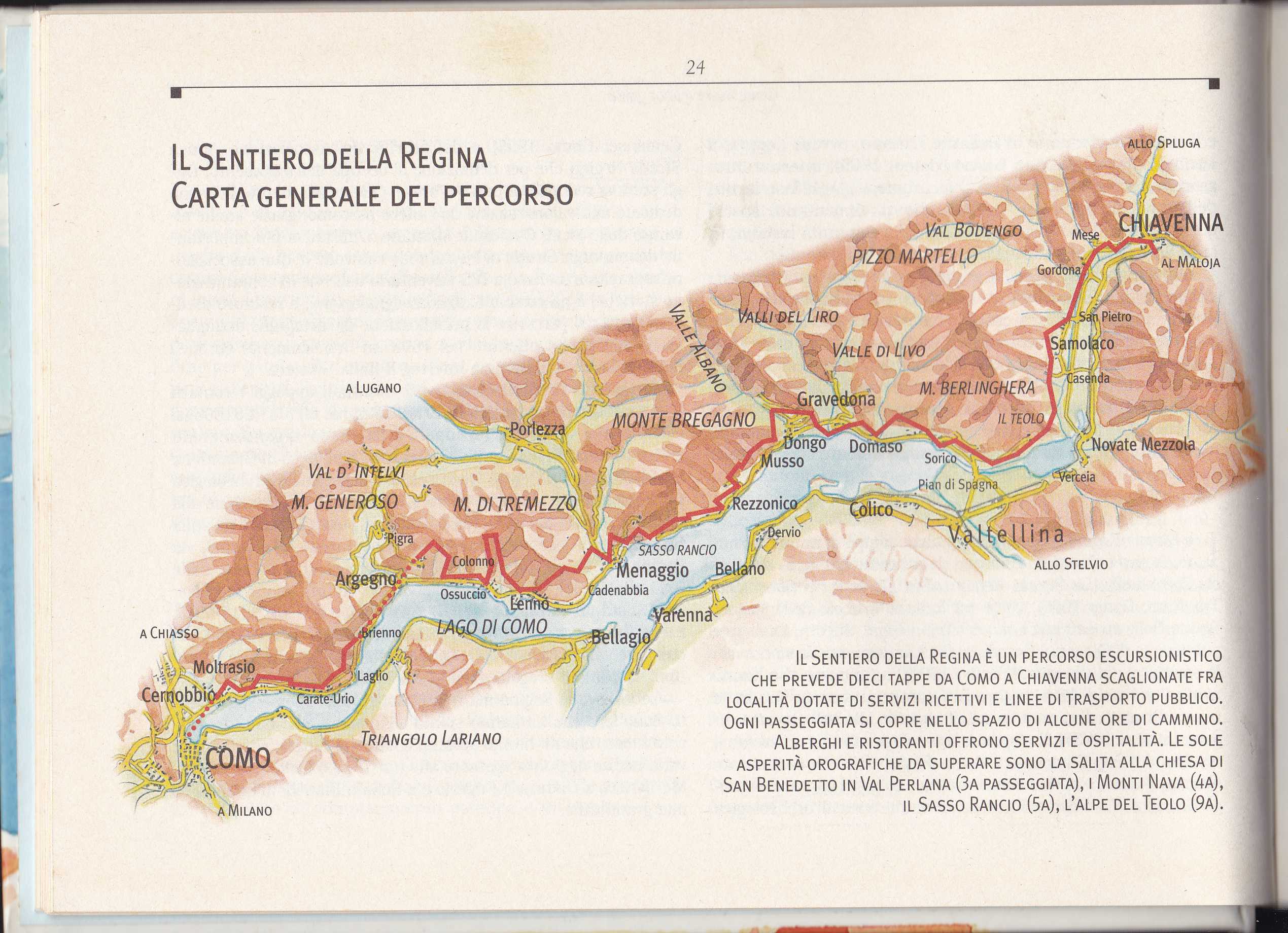 STELLA CORRADI AIDS1977