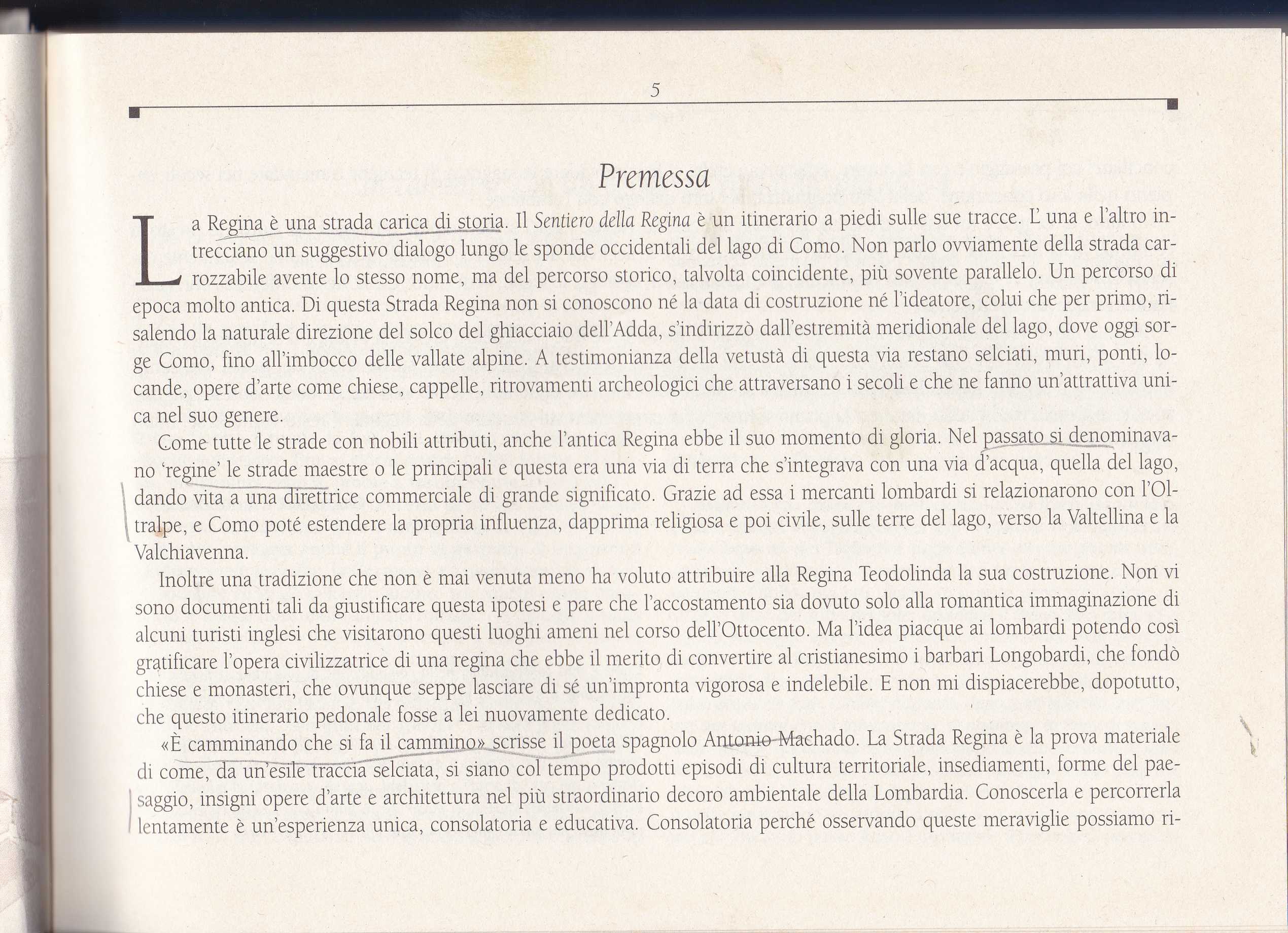 STELLA CORRADI AIDS1978