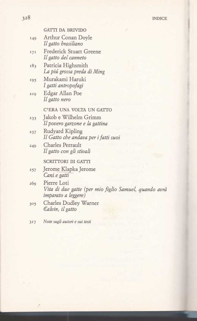 gatti più belli2563