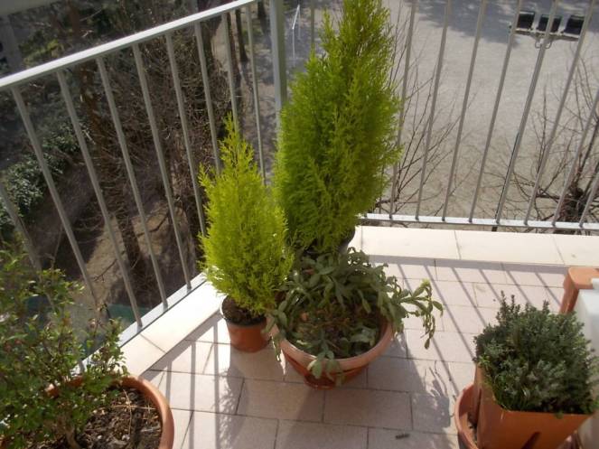 DSCN9095 (FILEminimizer)