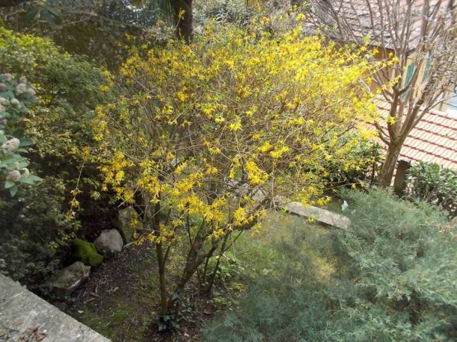 DSCN9128 (FILEminimizer)