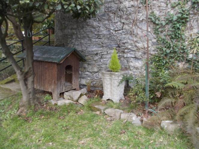 DSCN9139 (FILEminimizer)