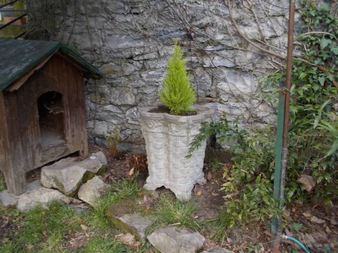 DSCN9140 (FILEminimizer)