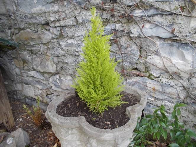 DSCN9141 (FILEminimizer)