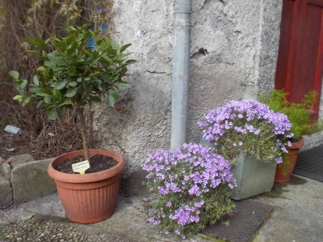 DSCN9334 (FILEminimizer)