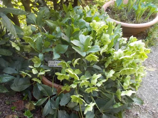 DSCN9338 (FILEminimizer)