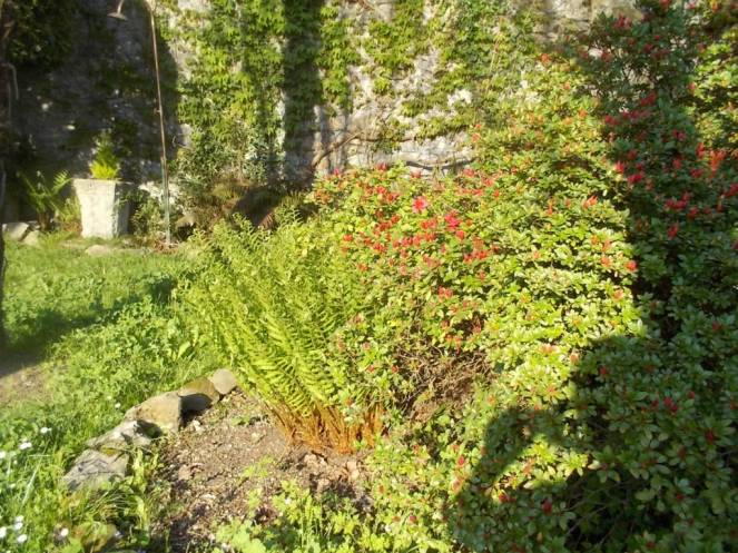 DSCN9341 (FILEminimizer)