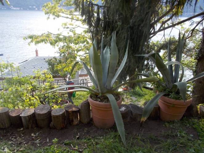 DSCN9365 (FILEminimizer)