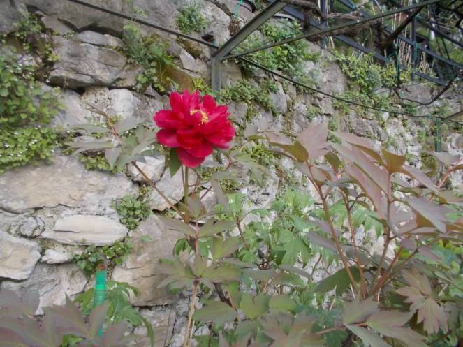 DSCN9403 (FILEminimizer)