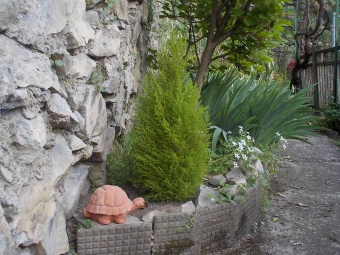 DSCN9405 (FILEminimizer)