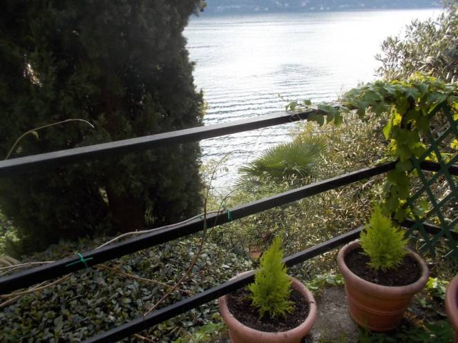 DSCN9414 (FILEminimizer)