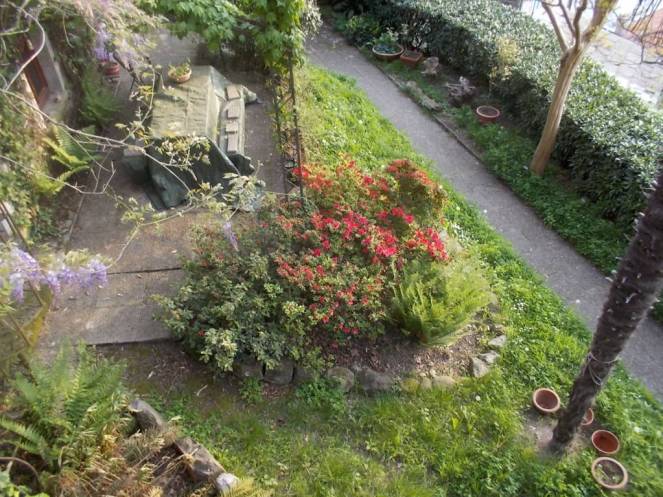 DSCN9415 (FILEminimizer)