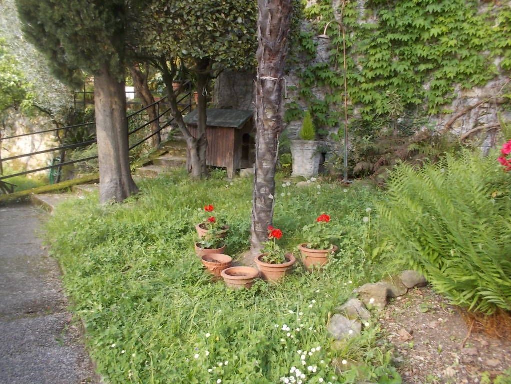 DSCN9457 (FILEminimizer)