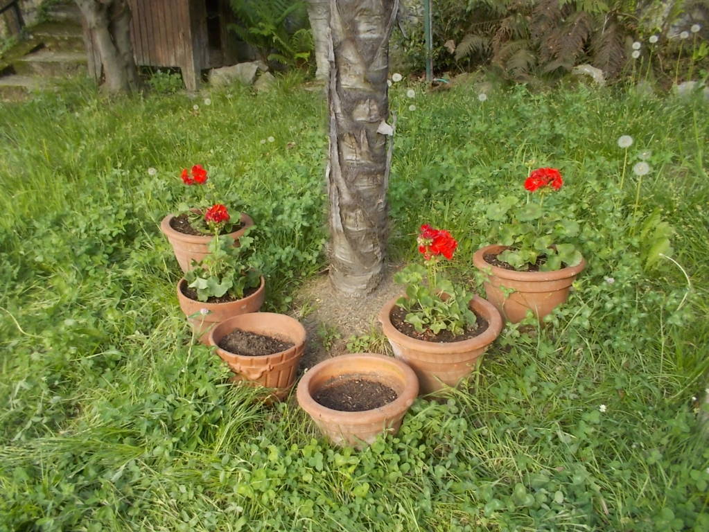 DSCN9458 (FILEminimizer)