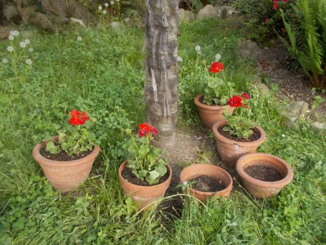 DSCN9459 (FILEminimizer)