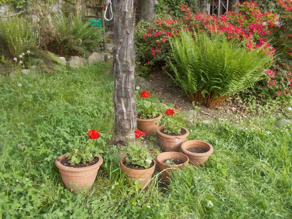 DSCN9460 (FILEminimizer)