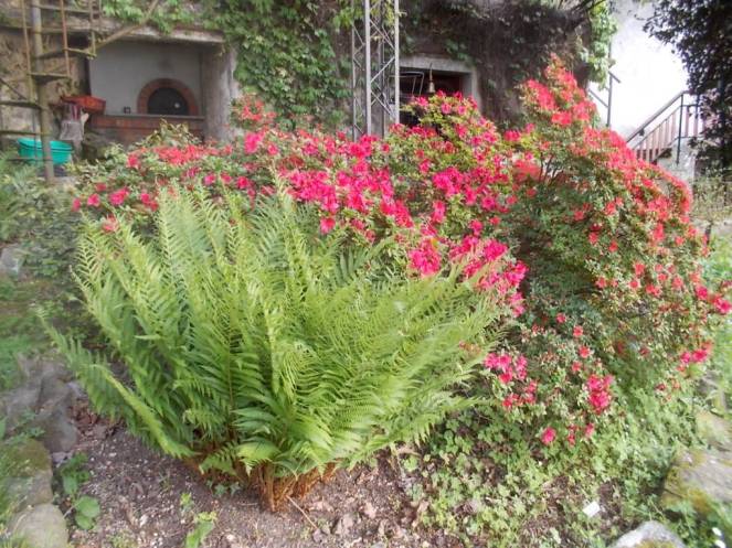 DSCN9461 (FILEminimizer)