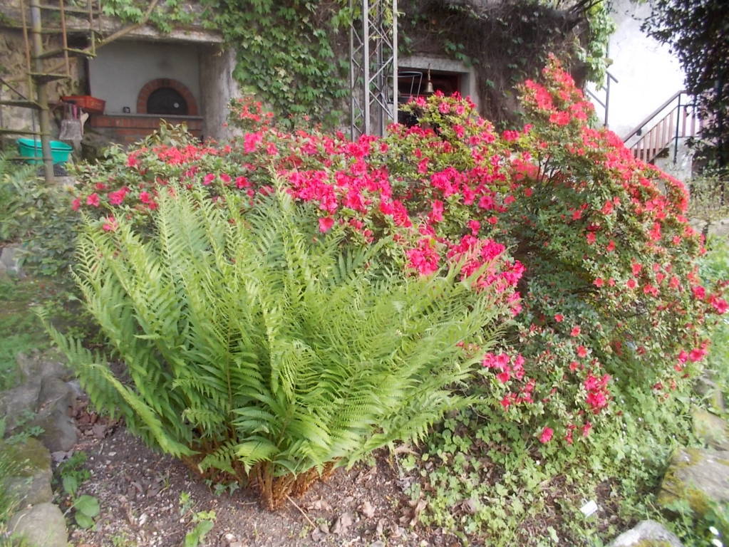 DSCN9461 (FILEminimizer)