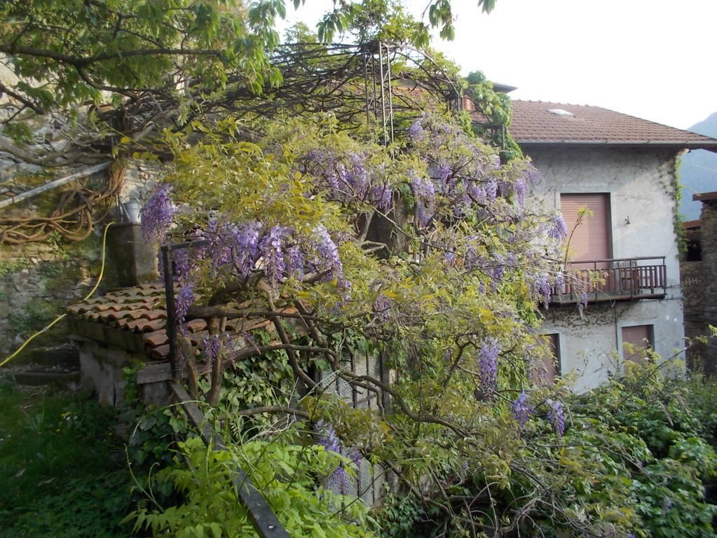 DSCN9417 (FILEminimizer)