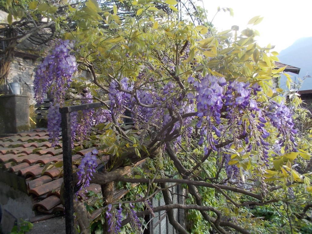 DSCN9418 (FILEminimizer)