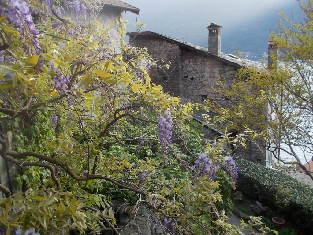 DSCN9419 (FILEminimizer)